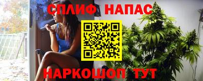 гидропоника Гусь-Хрустальный