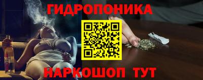 гидропоника Гусь-Хрустальный