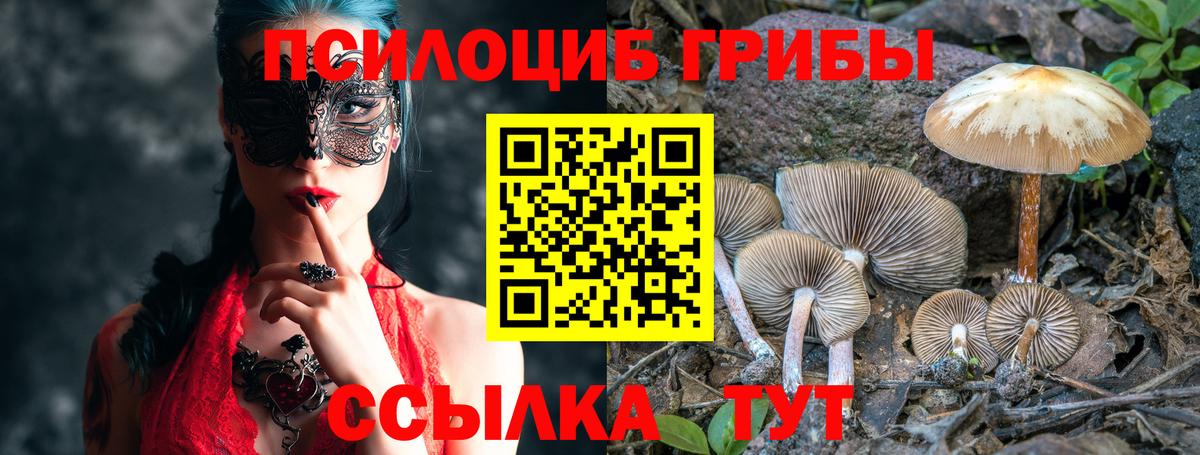 Галлюциногенные грибы прущие грибы Королёв