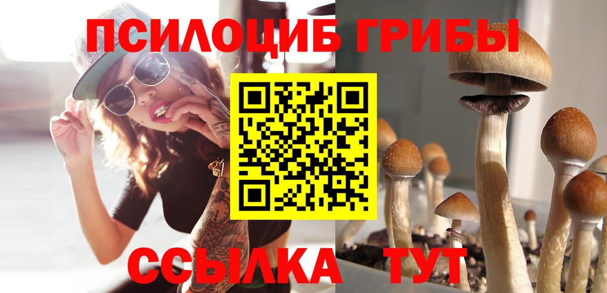 Королёв  Галлюциногенные грибы MAGIC MUSHROOMS  Вход с VPN 